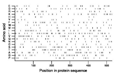 amino acid map