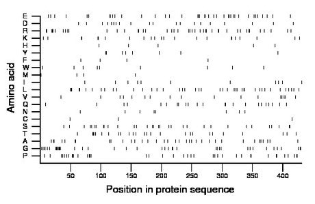 amino acid map