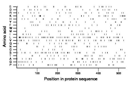 amino acid map