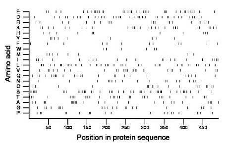 amino acid map