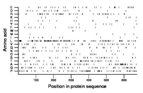 amino acid map