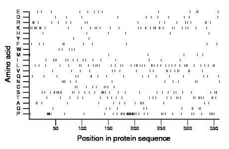 amino acid map