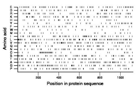 amino acid map