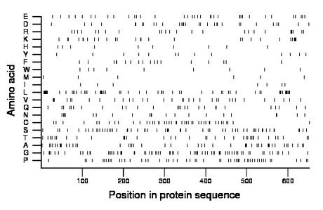 amino acid map