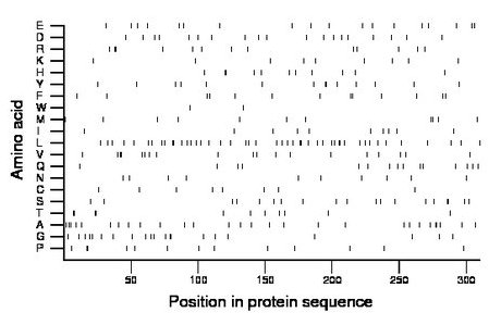 amino acid map