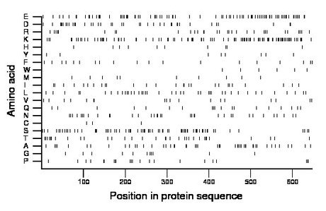 amino acid map