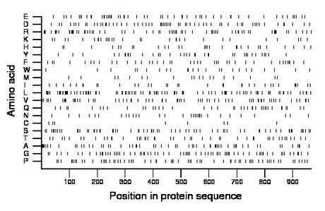 amino acid map