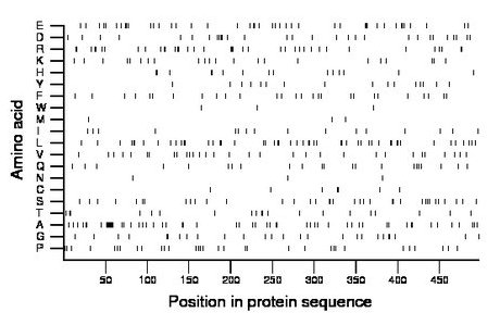 amino acid map