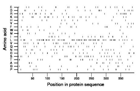 amino acid map