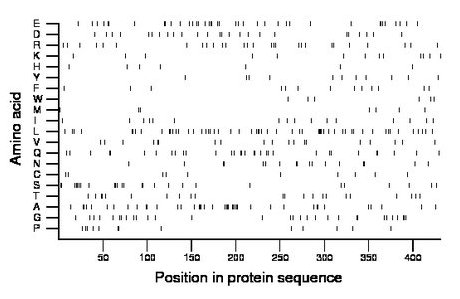 amino acid map