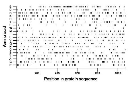 amino acid map