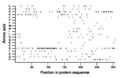 amino acid map