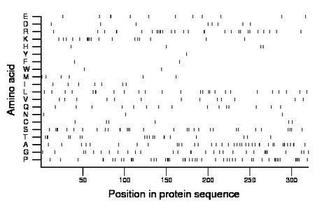 amino acid map