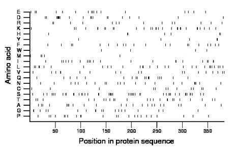 amino acid map