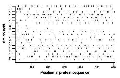 amino acid map