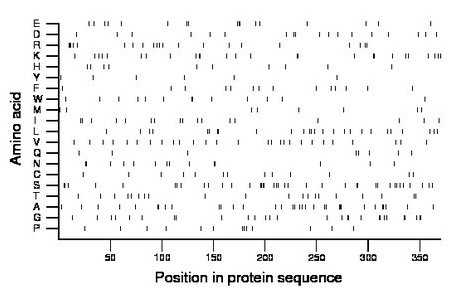 amino acid map