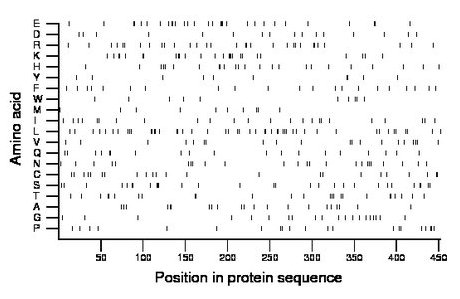 amino acid map