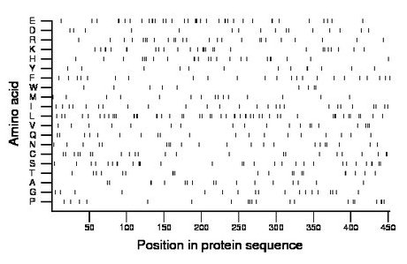 amino acid map