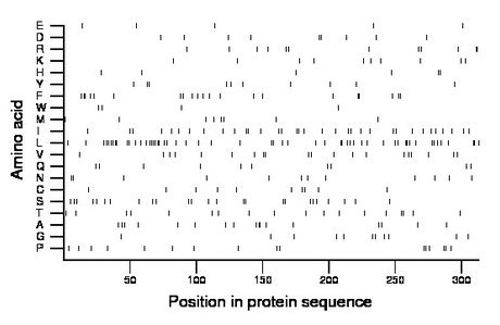 amino acid map