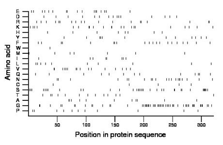 amino acid map