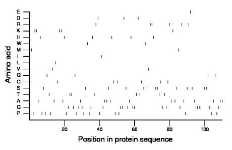 amino acid map