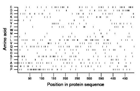 amino acid map