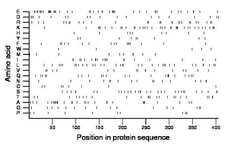 amino acid map