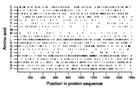 amino acid map