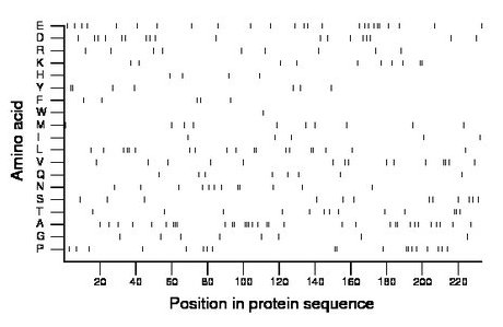 amino acid map