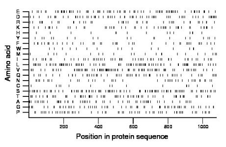 amino acid map