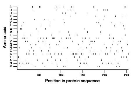 amino acid map