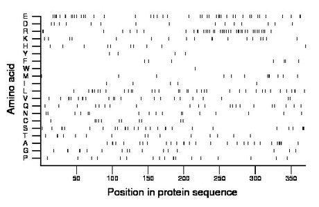 amino acid map