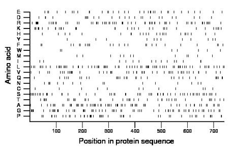 amino acid map