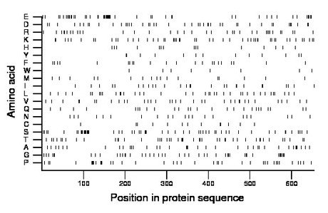 amino acid map