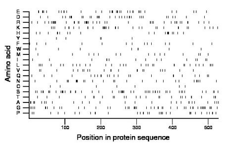 amino acid map