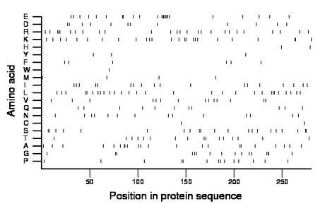 amino acid map