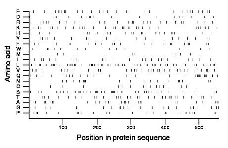 amino acid map