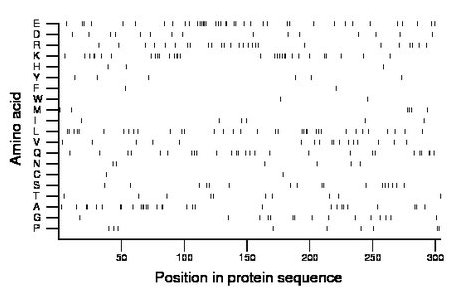 amino acid map