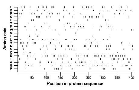 amino acid map