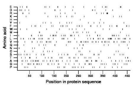 amino acid map