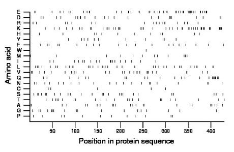 amino acid map