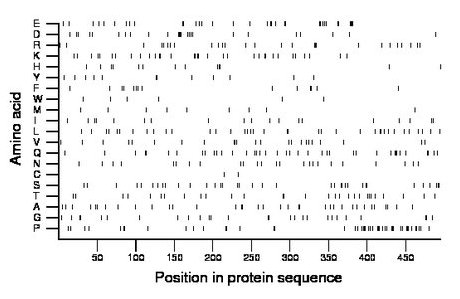 amino acid map