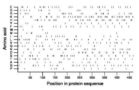 amino acid map