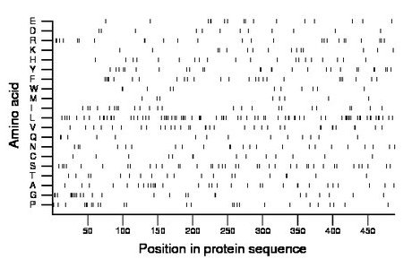 amino acid map