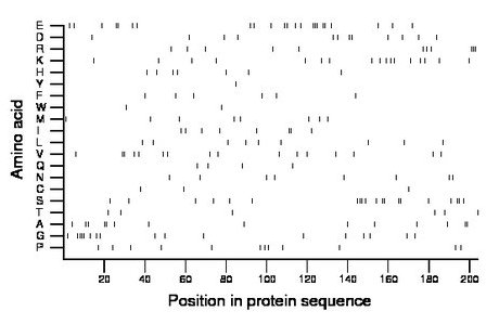 amino acid map