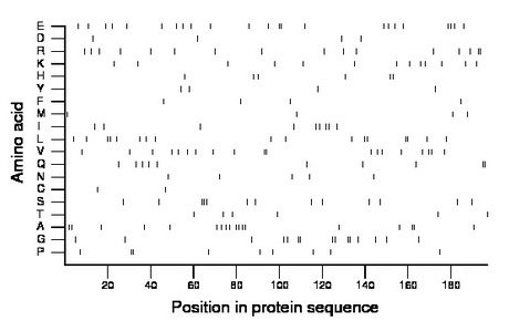 amino acid map