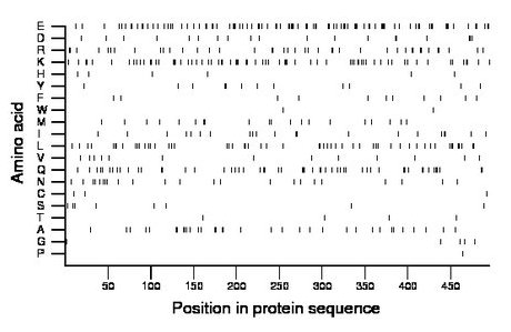 amino acid map