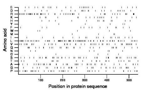 amino acid map