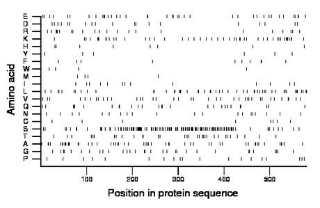 amino acid map