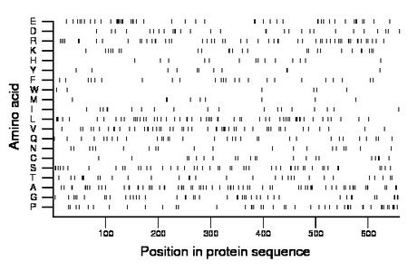 amino acid map